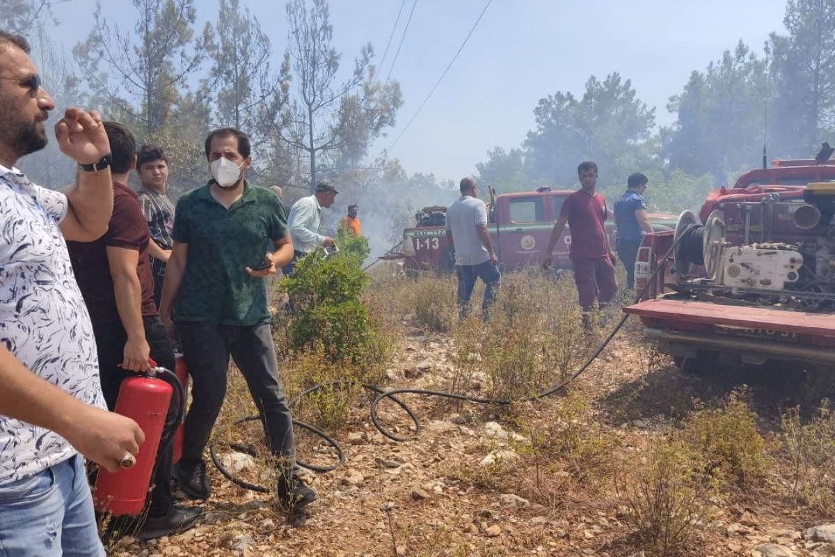 Alanya’da orman yangını