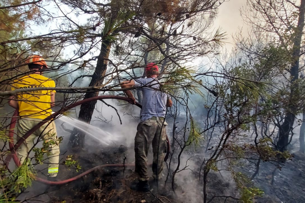 Çanakkale Ezine’deki orman yangını kontrol altında