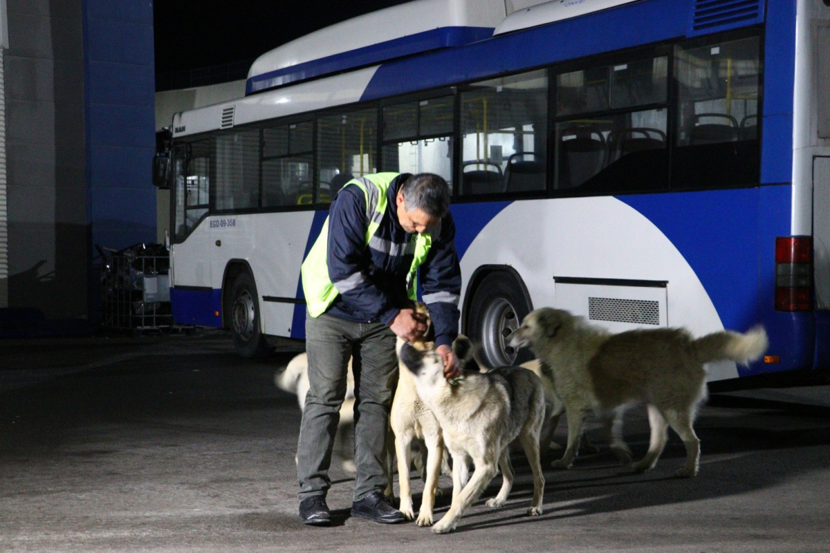 Ankara’da köpekle eğlenceli dakikalar geçiren EGO şoförü konuştu